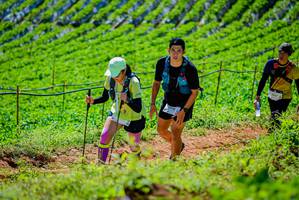 BIB: 3008, 3047
                            <button type="button" onclick="openModal(19163553)" class="btn btn-primary btn-sm float-right btn-popup" data-toggle="modal" data-target=".modal-high-quality">
                        <i class="fas fa-shopping-cart"></i> Add to Cart
                    </button>
                                            <button type="button" onclick="isThisMe(19163553, true)" class="btn btn-success btn-sm float-right btn-popup btn-isme hidden" data-toggle="tooltip" data-placement="bottom" title="นี่คือรูปของคุณใช่ไหม คลิกที่นี่เพื่อเอาเข้าอัลบั้ม">
                        <i class="fas fa-plus"></i> Add to album
                    </button>
                    <button type="button" onclick="isThisMe(19163553, false)" class="btn btn-warning btn-sm float-right btn-popup btn-isnotme hidden">
                        <i class="fas fa-ban"></i> Remove from album
                    </button>